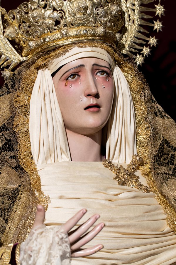 las penas de san vicente - maria santisima de los dolores